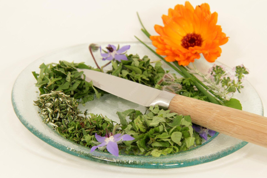 5 Common Hair Problems and Their Herbal Fixes | NatBlush Guide